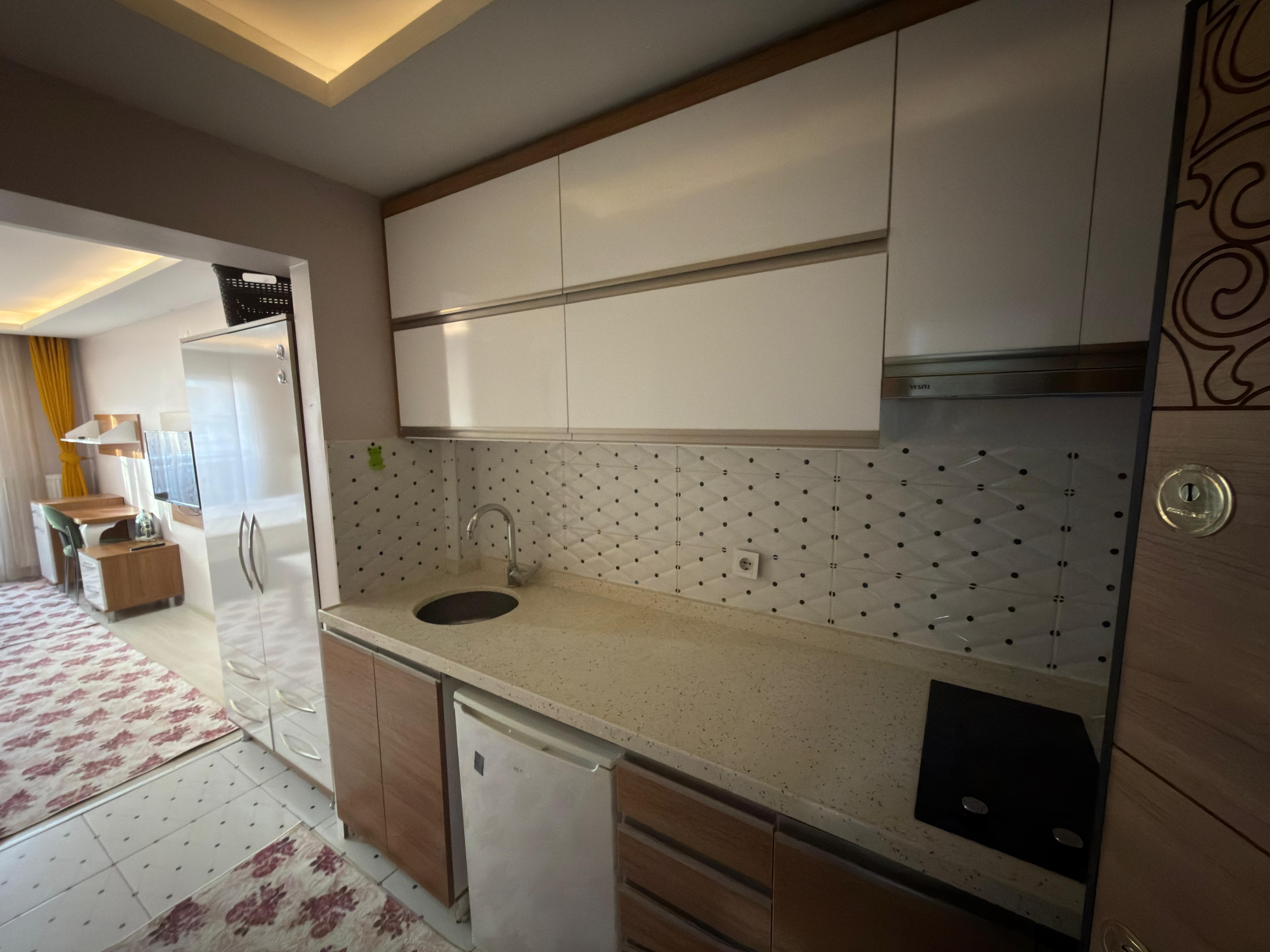 İstasyon Caddesi Civarı Eşyalı 1+0 Daireler