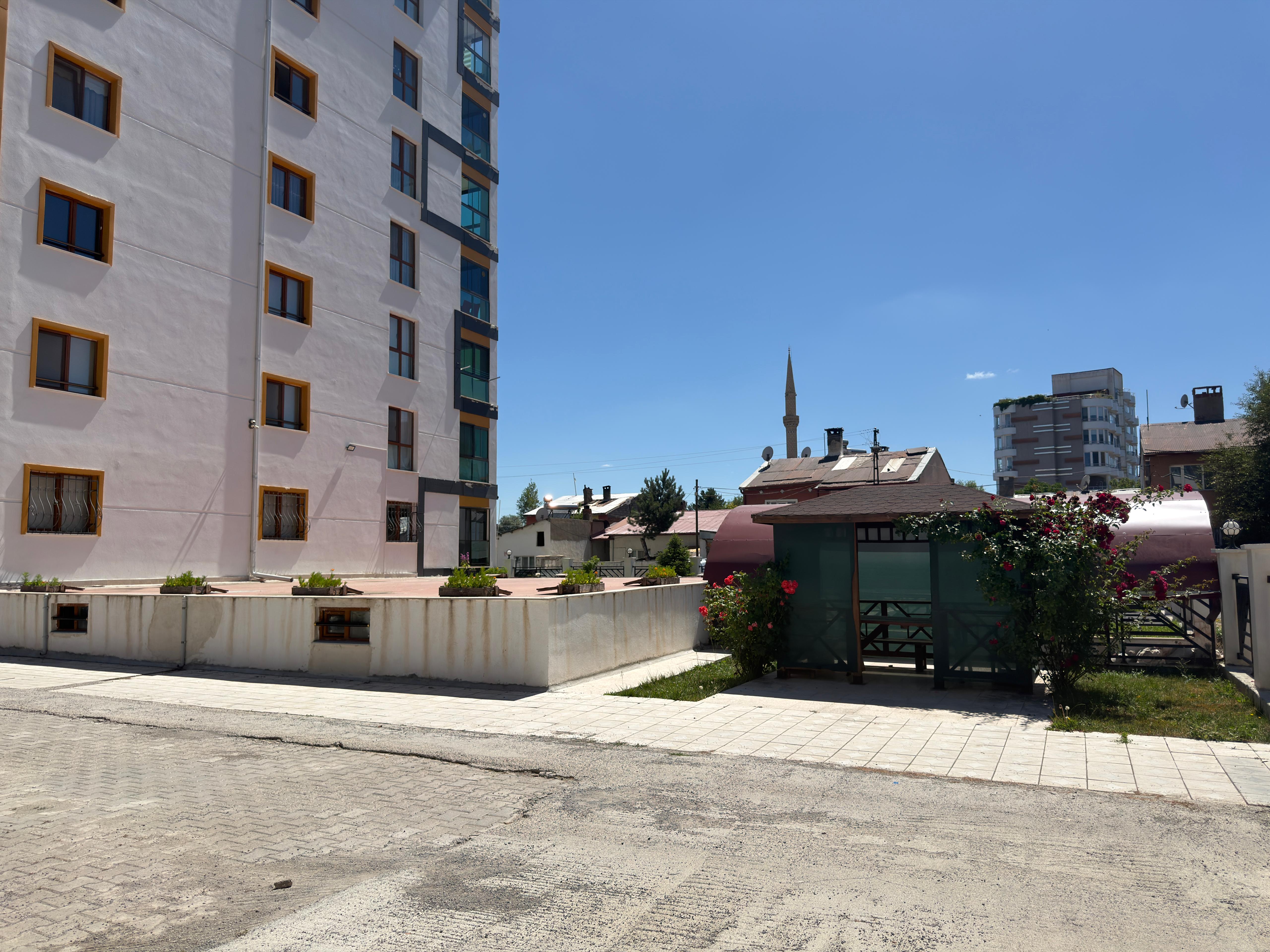 Bahçe & Kamelya